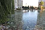 Avrupa Konutları (TEM), Gölet ve Süs Havuzları